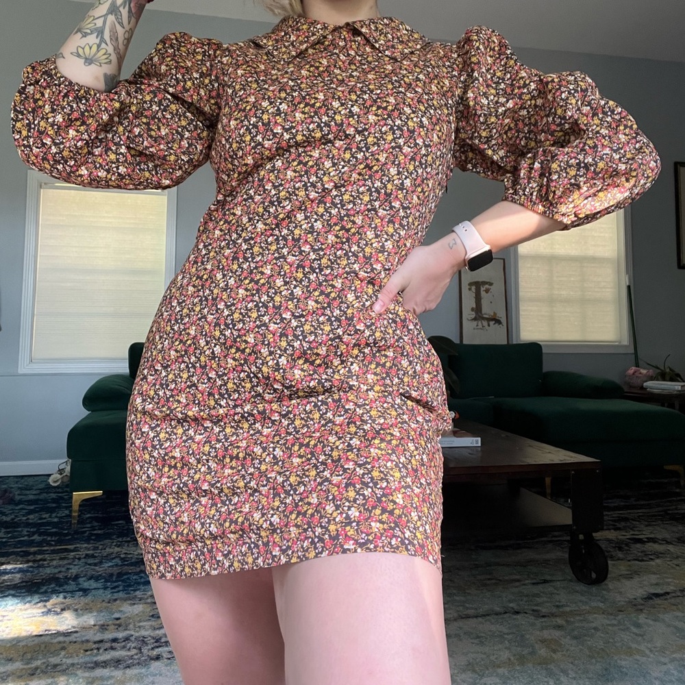 NWT free people collared dress